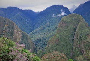Machu Pichu 8